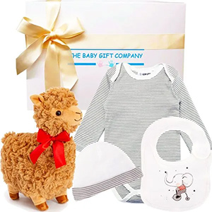 Baby Gift Hampers