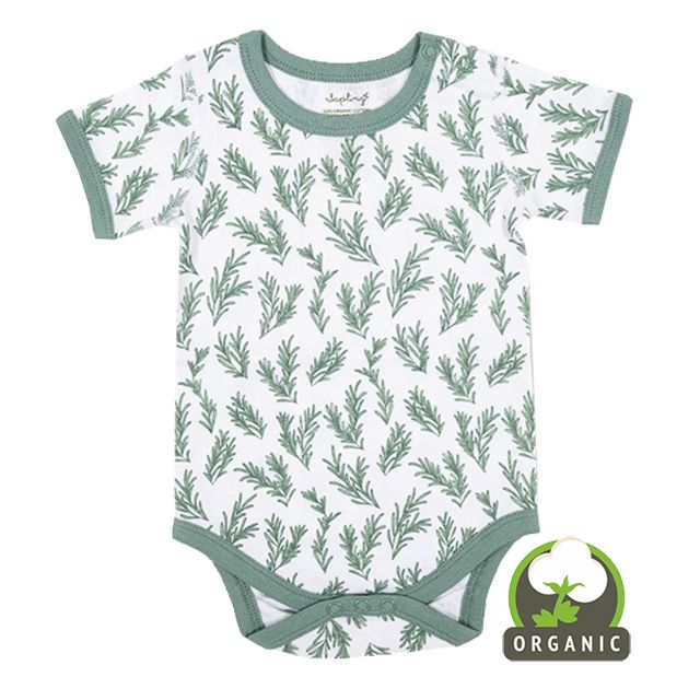 Rosemary Short Sleeve Bodysuit 