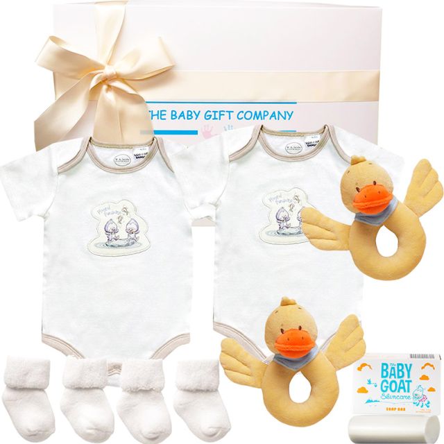 Organic Twins New Baby Girl & Boy Gift Box